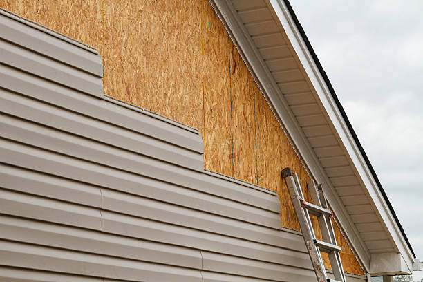 Professional Siding Repair technician working in New Castle, CO